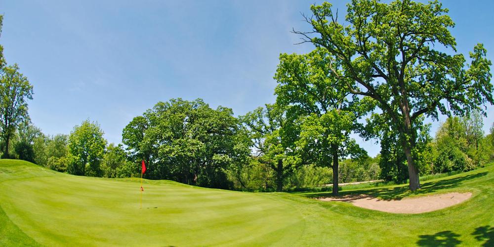 Golf Course Overview: Delbrook Golf Club